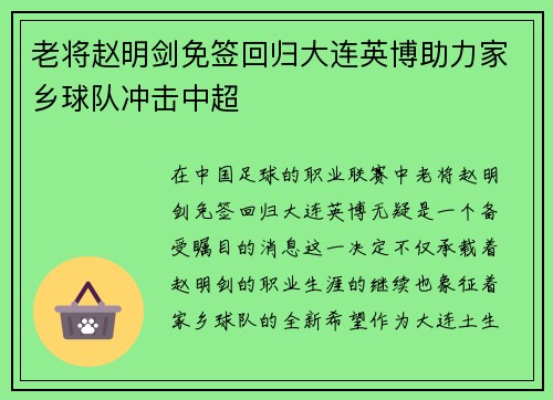 老将赵明剑免签回归大连英博助力家乡球队冲击中超